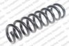 ROC CS7989 Coil Spring